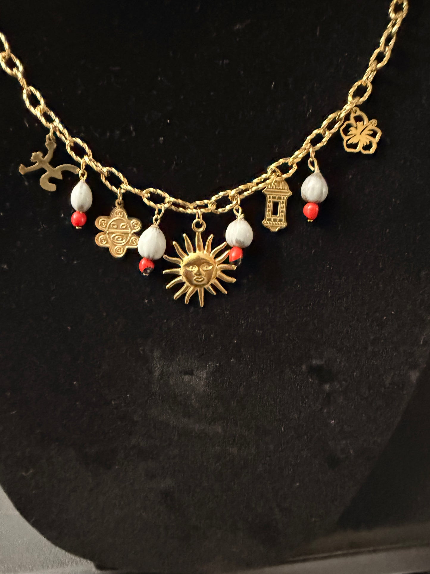 Stainless Steel 316l Puerto Rico Charm necklace with native seeds